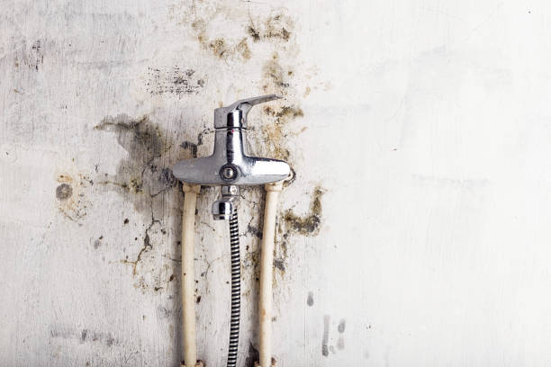 Best Mold Remediation Experts  in Wormleysburg, PA