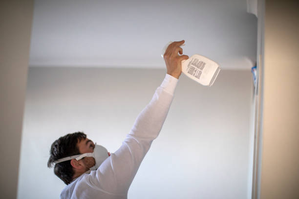 Best Toxic Mold Removal  in Wormleysburg, PA