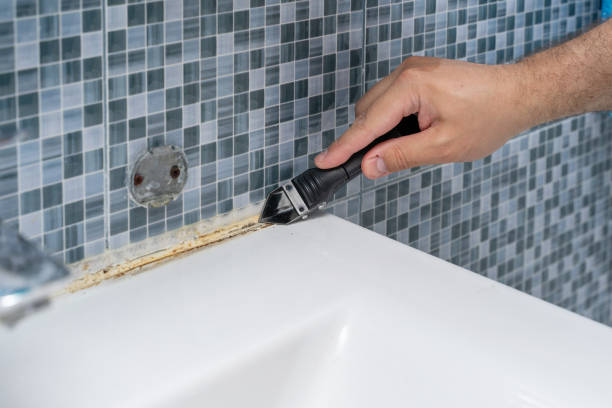 Best Fast Mold Removal  in Wormleysburg, PA
