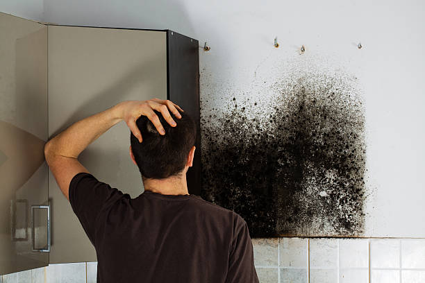 Mold Testing and Removal in Wormleysburg, PA